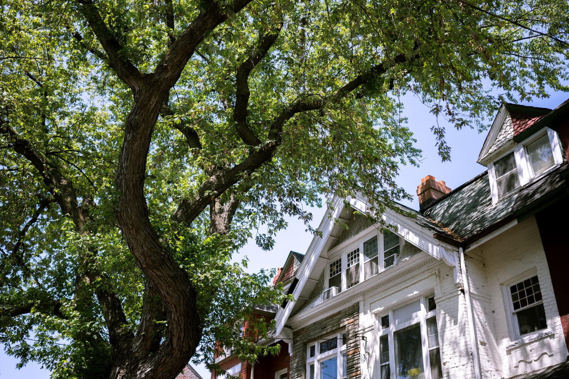 Tree Pruning